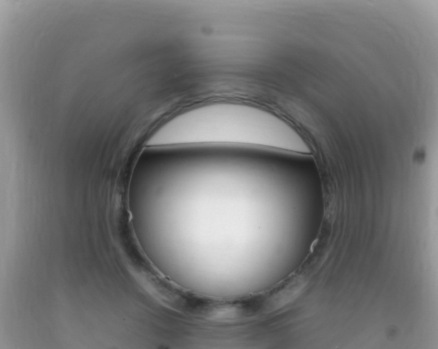 X0000092230456200709140945