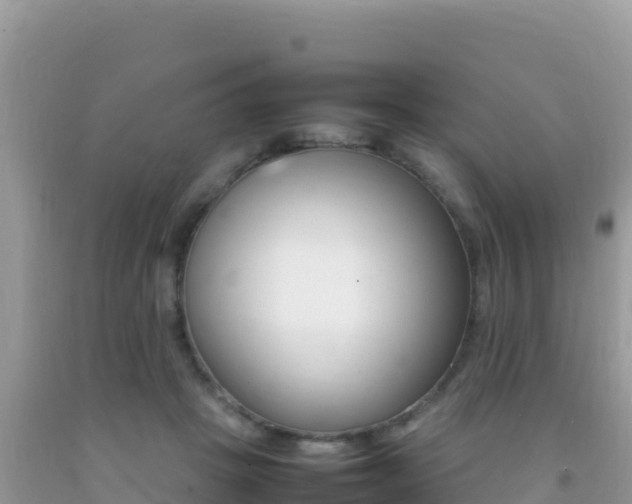 X0000092230457200709140945