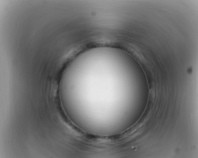 X0000092230458200709140945
