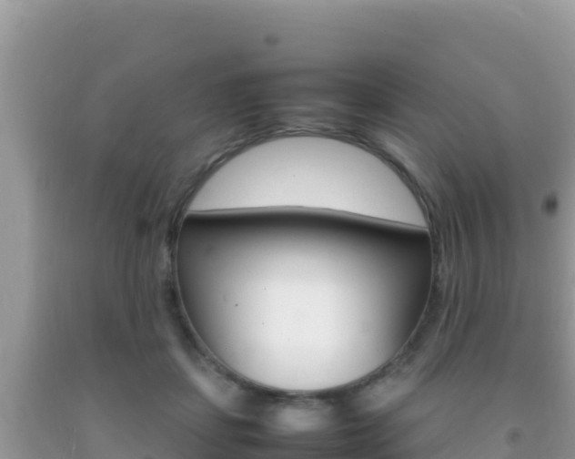 X0000092230459200709140945