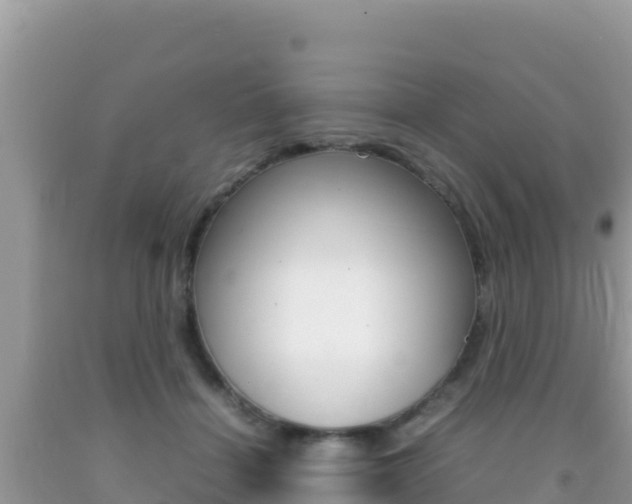 X0000092230460200709140945