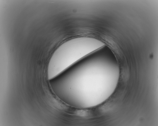 X0000092230461200709140945