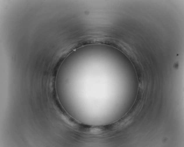 X0000092230462200709140945