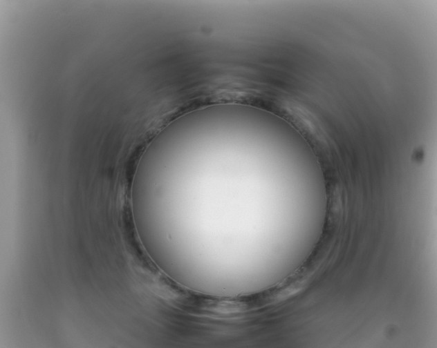 X0000092230463200709140945