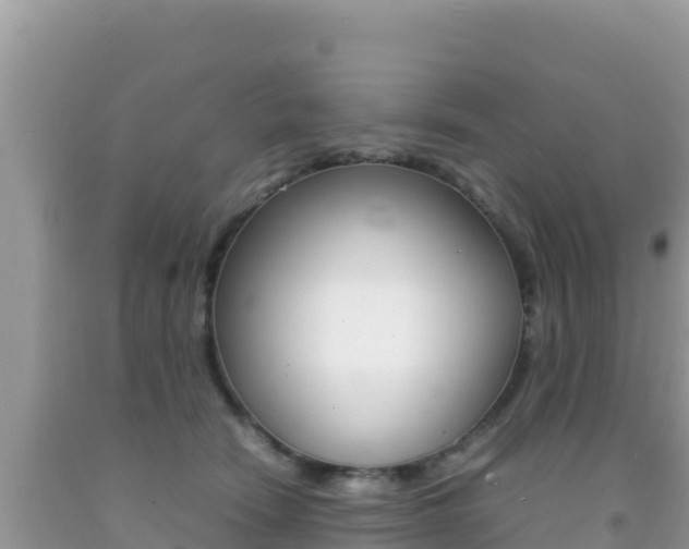 X0000092230466200709140945