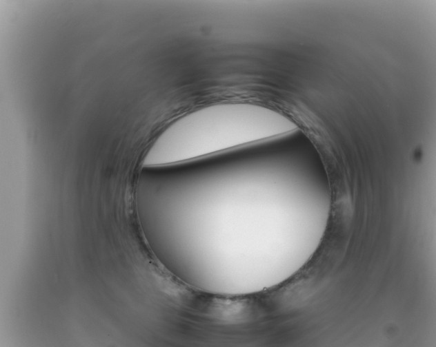 X0000092230469200709140945