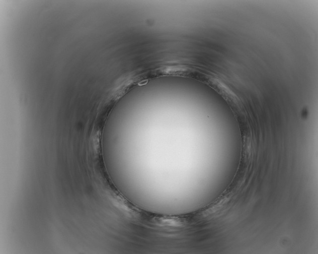 X0000092230475200709140945