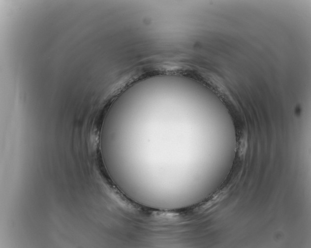 X0000092230476200709140945
