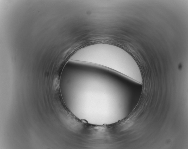 X0000092230478200709140945