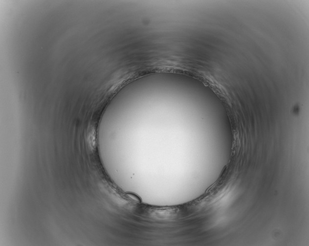 X0000092230479200709140945