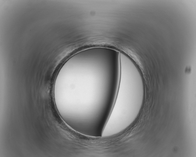 X0000092230483200709140944