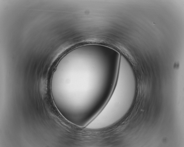 X0000092230484200709140944