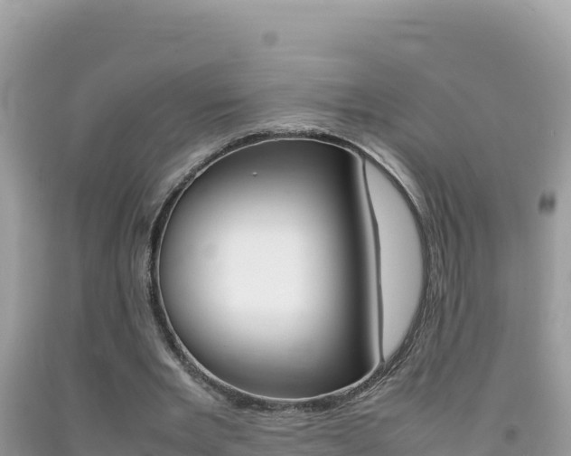 X0000092230485200709140944