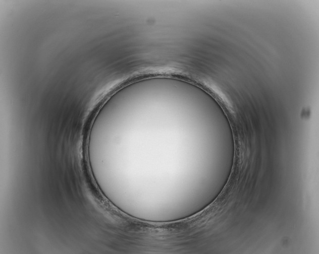 X0000092230486200709140944