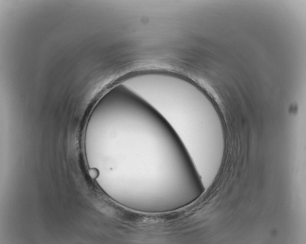 X0000092230487200709140944