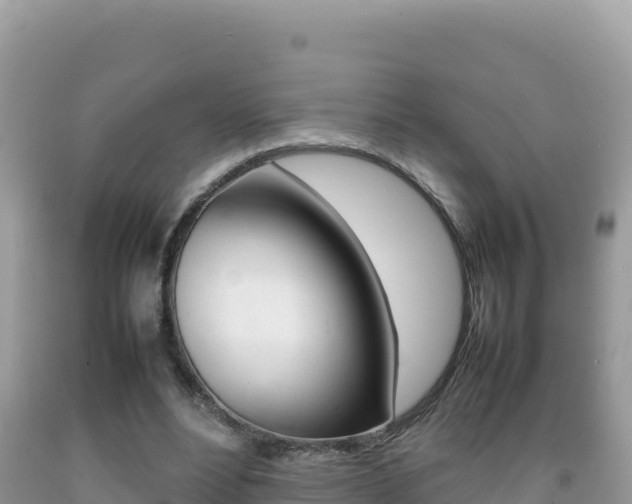 X0000092230488200709140944