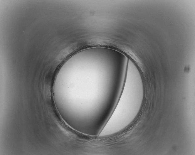 X0000092230489200709140944