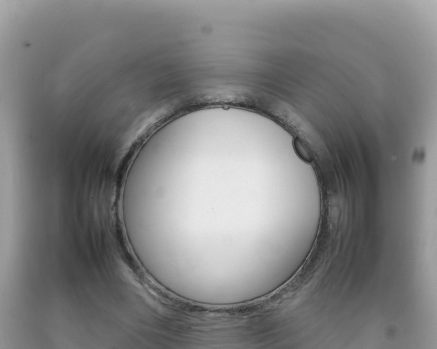 X0000092230490200709140944