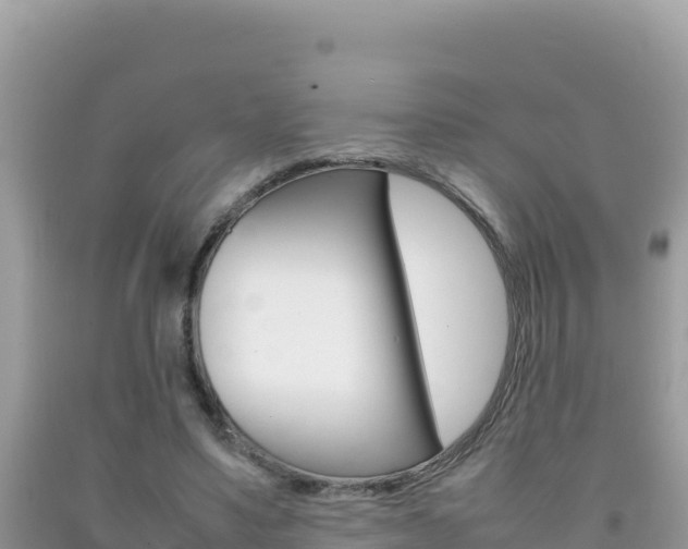 X0000092230491200709140944