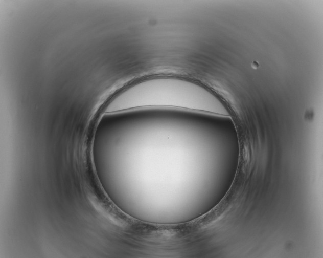 X0000092230492200709140944
