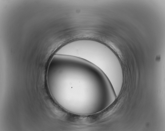 X0000092230493200709140944