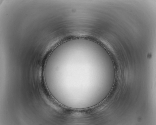 X0000092230494200709140944