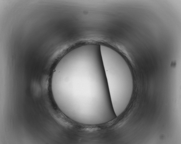 X0000092230495200709140944