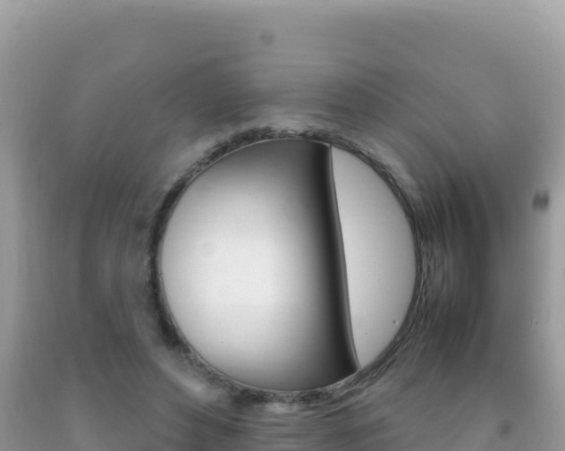 X0000092230496200709140944