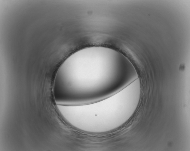X0000092230497200709140944
