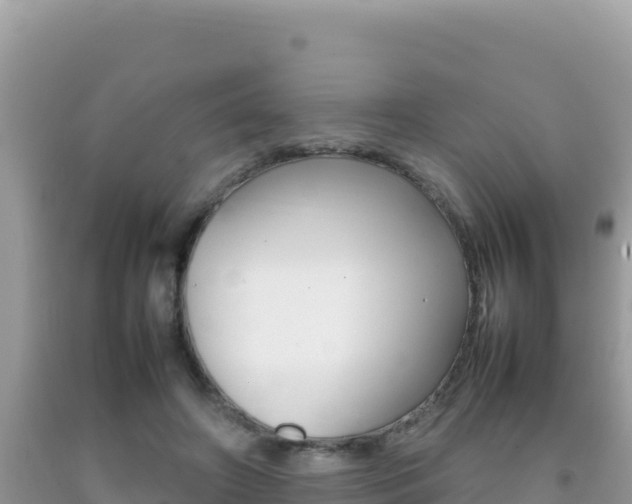 X0000092230498200709140944