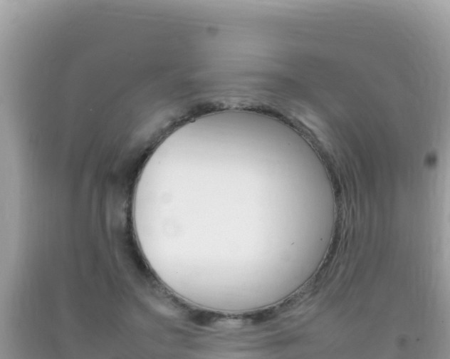 X0000092230499200709140944