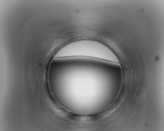 X0000092230501200709140944