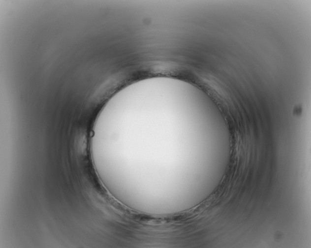 X0000092230502200709140944