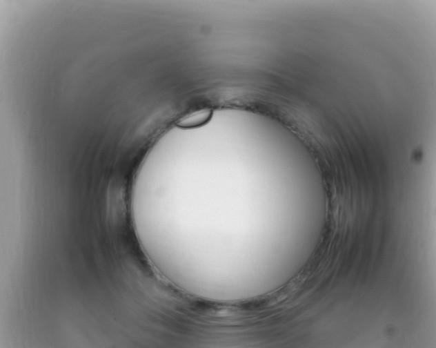 X0000092230506200709140944