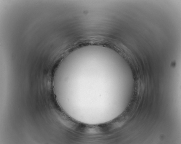 X0000092230510200709140944