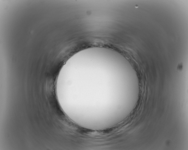 X0000092230511200709140944