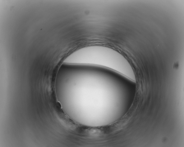 X0000092230512200709140944