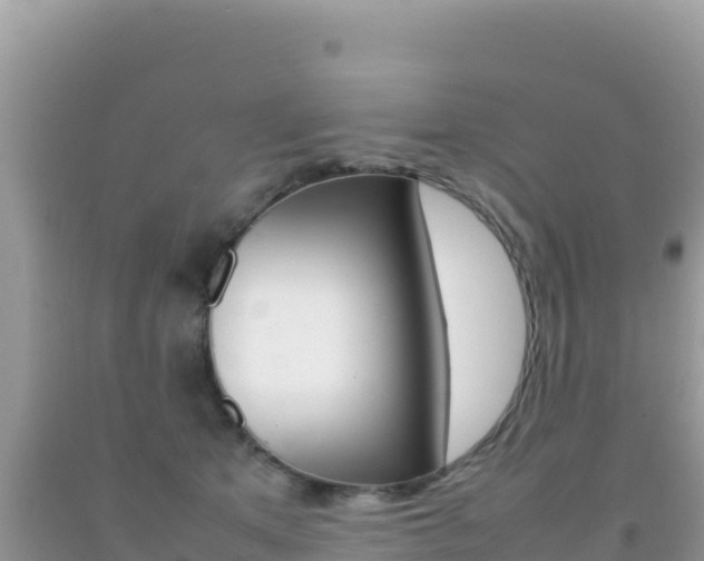 X0000092230513200709140944