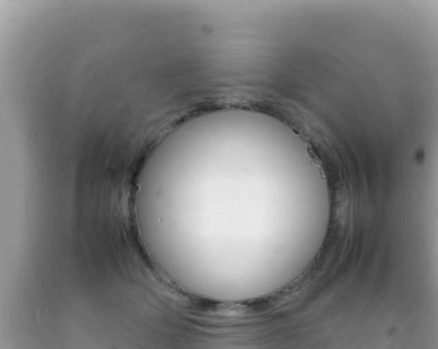 X0000092230514200709140944