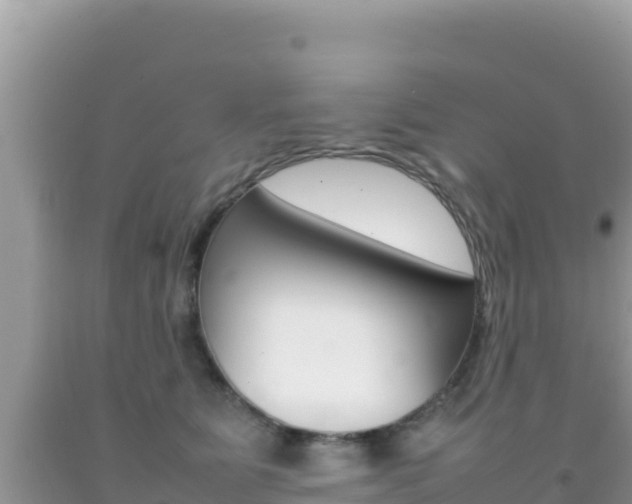 X0000092230515200709140944
