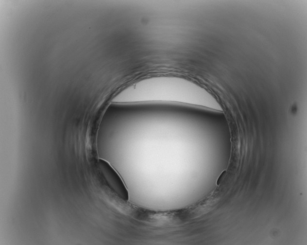 X0000092230516200709140944