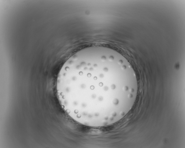 X0000092230519200709140944