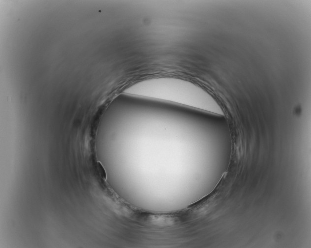 X0000092230520200709140944