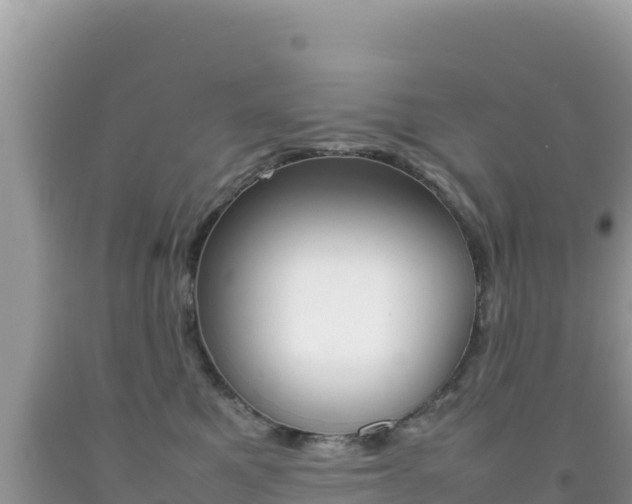 X0000092230521200709140944