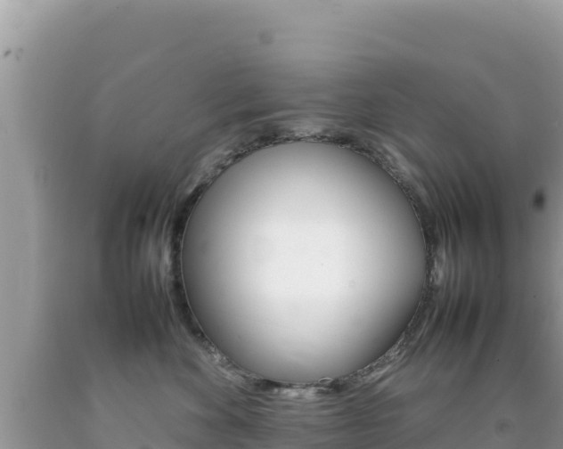 X0000092230524200709140944