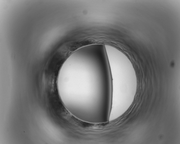X0000092230525200709140944