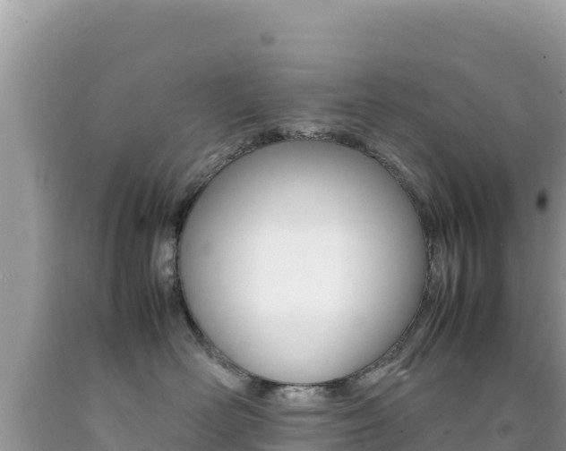 X0000092230526200709140944