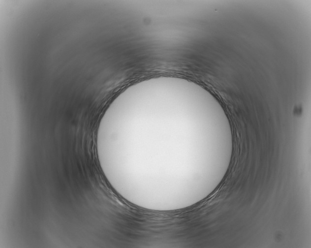 X0000092230528200709140944