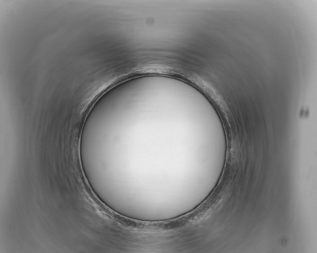 X0000092230529200709140943