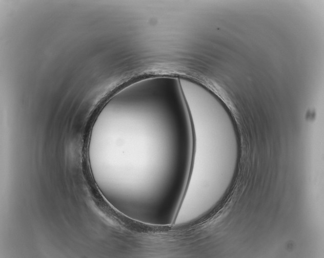X0000092230530200709140943